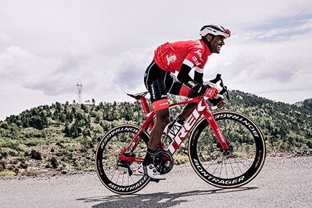 madone1st